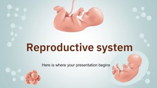Reproductive system
Here is where your presentation begins
 