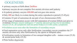 OOGENESIS
 primary oocytes at birth about 2million
primary oocytes do not complete first meiotic division until puberty
At puberty primary oocytes 400,000 and rest goes into atresia
Only 400 are likely to ovulate during the entire reproductive period (15-45yrs)
Contains 22 pair of autosomes & one pair of sex chromosomes (XX)
First stage of maturation occurs with full maturation of ovarian follicle just prior to
ovulation. Primary oocyte undergoes 1st meiotic division giving rise to secondary
oocyte (23,X, all cytoplasm) and one polar body(23,X with scanty cytoplasm)
Ovulation occur soon after the formation of secondary oocyte
Final maturation occur only after fertilization. (secondary oocyte completes the 2nd
meiotic division only after fertilization by the sperm in fallopian tube)
Fertilization results in formation of two unequal daughter cells – mature ovum (23,X)
& second polar body (23,X)
Polar bodies degenerate
 