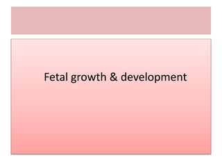 Powerpoint Fetal Development embryology & fetal growth deveent ppt lopm.pptx
