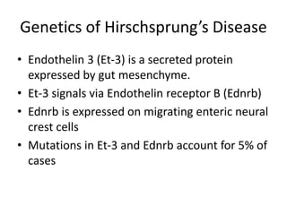 Genetics of Hirschsprung’s Disease
• Endothelin 3 (Et-3) is a secreted protein
expressed by gut mesenchyme.
• Et-3 signals...
