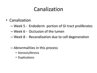 Embryology_Final_NASPGHAN.ppt