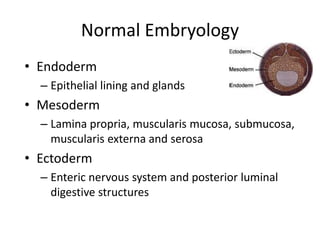 Normal Intestinal Embryology Embryology_Final_NASPGHAN.ppt