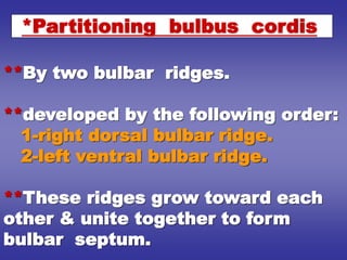 **By two bulbar ridges.
**developed by the following order:
1-right dorsal bulbar ridge.
2-left ventral bulbar ridge.
**These ridges grow toward each
other & unite together to form
bulbar septum.
*Partitioning bulbus cordis
 