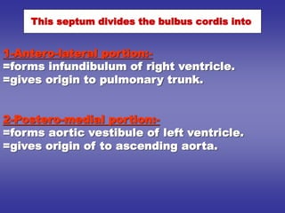 1-Antero-lateral portion:-
=forms infundibulum of right ventricle.
=gives origin to pulmonary trunk.
2-Postero-medial portion:-
=forms aortic vestibule of left ventricle.
=gives origin of to ascending aorta.
This septum divides the bulbus cordis into
 