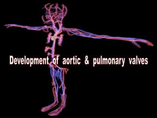 PROCESS
OF
DEVELOPMENT
 