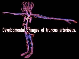 PROCESS
OF
DEVELOPMENT
 