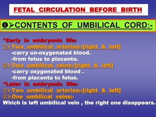 CONTENTS OF UMBILICAL CORD:-
FETAL CIRCULATION BEFORE BIRTH
*Early in embryonic life:
Two umbilical arteries:-[right & left]
-carry un-oxygenated blood.
-from fetus to placenta.
Two umbilical veins:-[right & left]
-carry oxygenated blood .
-from placenta to fetus.
*Later in embryonic life:-
Two umbilical arteries:-[right & left]
One umbilical veins:-
Which is left umbilical vein , the right one disappears.
 