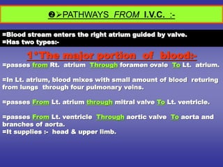 PATHWAYS FROM I.V.C. :-
1*The major portion of blood:-
=passes from Rt. atrium Through foramen ovale To Lt. atrium.
=In Lt. atrium, blood mixes with small amount of blood returing
from lungs through four pulmonary veins.
=passes From Lt. atrium through mitral valve To Lt. ventricle.
=passes From Lt. ventricle Through aortic valve To aorta and
branches of aorta.
=It supplies :- head & upper limb.
=Blood stream enters the right atrium guided by valve.
=Has two types:-
 