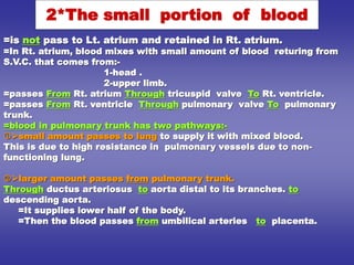 =is not pass to Lt. atrium and retained in Rt. atrium.
=In Rt. atrium, blood mixes with small amount of blood returing from
S.V.C. that comes from:-
1-head .
2-upper limb.
=passes From Rt. atrium Through tricuspid valve To Rt. ventricle.
=passes From Rt. ventricle Through pulmonary valve To pulmonary
trunk.
=blood in pulmonary trunk has two pathways:-
small amount passes to lung to supply it with mixed blood.
This is due to high resistance in pulmonary vessels due to non-
functioning lung.
larger amount passes from pulmonary trunk.
Through ductus arteriosus to aorta distal to its branches. to
descending aorta.
=It supplies lower half of the body.
=Then the blood passes from umbilical arteries to placenta.
2*The small portion of blood
 