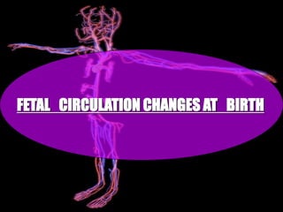 PROCESS
OF
DEVELOPMENT
FETAL CIRCULATION CHANGES AT BIRTH
 