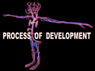 PROCESS
OF
DEVELOPMENT
 