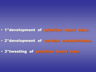 • 1*development of primitive heart tube.
• 2*development of cardiac contstrictions.
• 3*twesting of primitive heart tube.
 