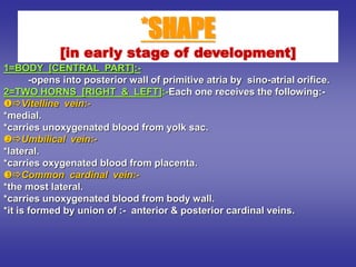 *SHAPE
[in early stage of development]
1=BODY [CENTRAL PART]:-
-opens into posterior wall of primitive atria by sino-atrial orifice.
2=TWO HORNS [RIGHT & LEFT]:-Each one receives the following:-
Vitelline vein:-
*medial.
*carries unoxygenated blood from yolk sac.
Umbilical vein:-
*lateral.
*carries oxygenated blood from placenta.
Common cardinal vein:-
*the most lateral.
*carries unoxygenated blood from body wall.
*it is formed by union of :- anterior & posterior cardinal veins.
 