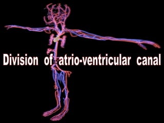 PROCESS
OF
DEVELOPMENT
 