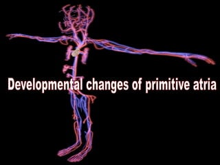 PROCESS
OF
DEVELOPMENT
 