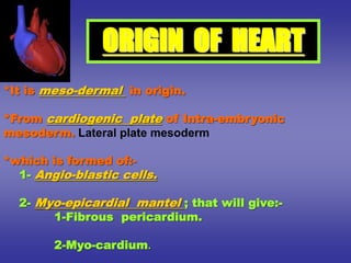 *It is meso-dermal in origin.
*From cardiogenic plate of Intra-embryonic
mesoderm. Lateral plate mesoderm
*which is formed of:-
1- Angio-blastic cells.
2- Myo-epicardial mantel ; that will give:-
1-Fibrous pericardium.
2-Myo-cardium.
ORIGIN OF HEART
 