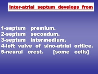 1-septum premium.
2-septum secondum.
3-septum intermedium.
4-left valve of sino-atrial orifice.
5-neural crest. [some cells]
Inter-atrial septum develops from
 