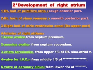 1-Rt. half of primitive atria :-rough anterior part.
2-Rt. horn of sinus venosus :- smooth posterior part.
3-Right half of atrio-ventricular canal [its upper part]
4-Interior of right atrium:-
1-fossa ovalis:-from septum premium.
2-annulus ovalis:- from septum secondum.
3-crista terminalis:- from upper 1/3 of Rt. sino-atrial v.
4-valve for I.V.C.:- from middle 1/3 of """"""""""""""".
5-valve of coronary sinus:-from lower 1/3 of """"""".
2*Development of right atrium
 