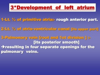 1-Lt. ½ of primitive atria:- rough anterior part.
2-Lt. ½ of atrio-ventricular canal [its upper part]
3-Pulmonary vein [root and 1st division ] :-
[its posterior smooth]
resulting in four separate openings for the
pulmonary veins.
3*Development of left atrium
 