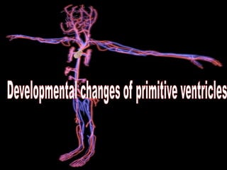 PROCESS
OF
DEVELOPMENT
 