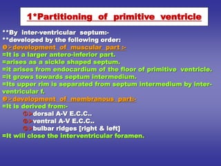 **By inter-ventricular septum:-
**developed by the following order:
development of muscular part :-
=It is a larger antero-inferior part.
=arises as a sickle shaped septum.
=it arises from endocardium of the floor of primitive ventricle.
=it grows towards septum intermedium.
=Its upper rim is separated from septum intermedium by inter-
ventricular f.
development of membranous part:-
=It is derived from:-
dorsal A-V E.C.C..
ventral A-V E.C.C..
bulbar ridges [right & left]
=It will close the interventricular foramen.
1*Partitioning of primitive ventricle
 