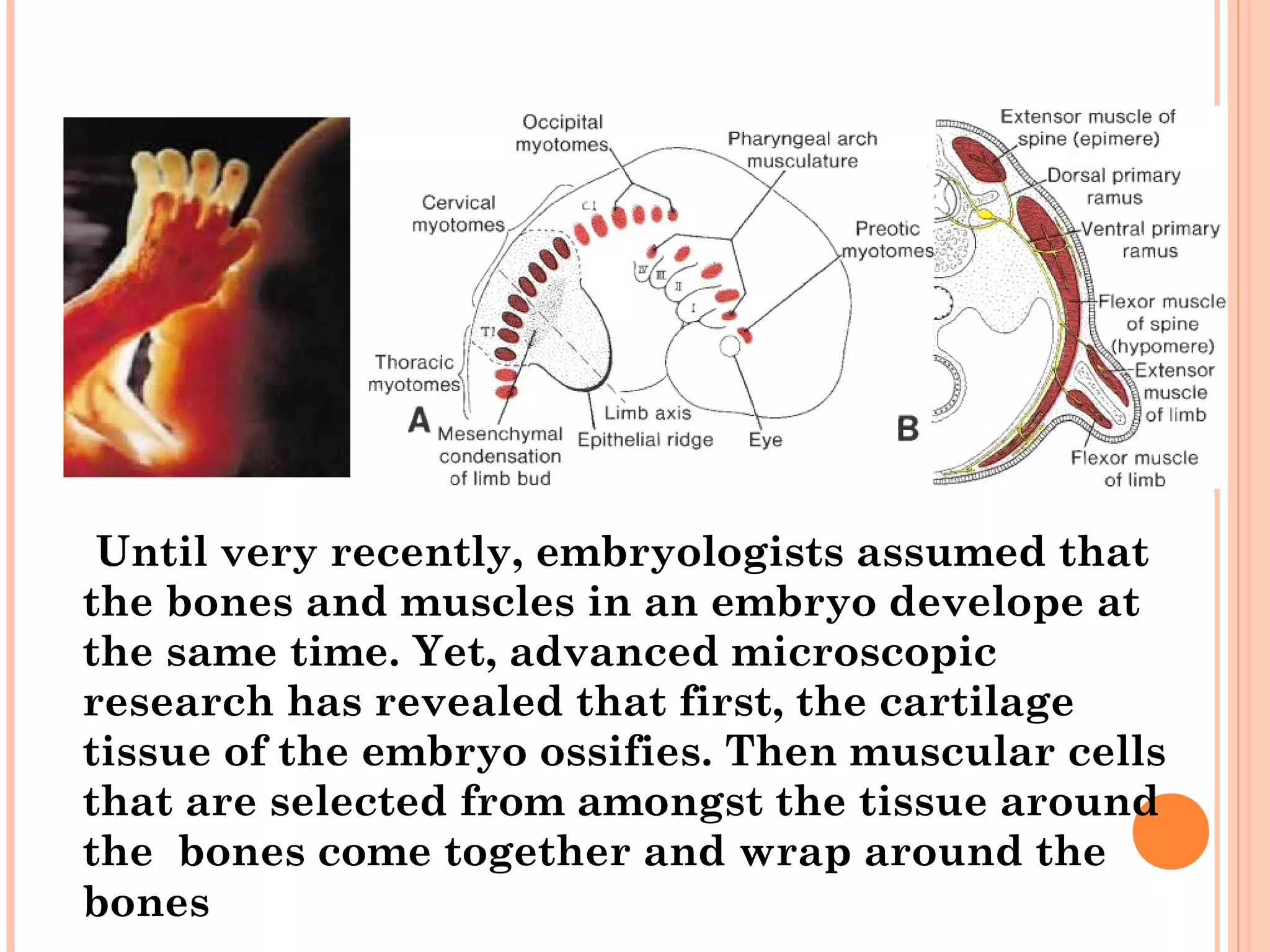 Embryology in the holy quran (2) | PPT