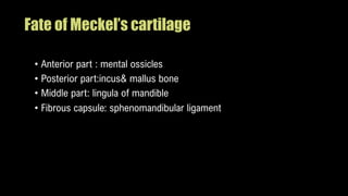 Fate of Meckel’s cartilage
• Anterior part : mental ossicles
• Posterior part:incus& mallus bone
• Middle part: lingula of mandible
• Fibrous capsule: sphenomandibular ligament
 