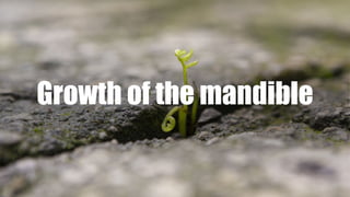 Growth of the mandible
 