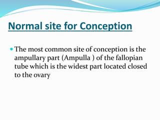 Normal site for Conception
 The most common site of conception is the
ampullary part (Ampulla ) of the fallopian
tube which is the widest part located closed
to the ovary
 