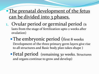 The prenatal development of the fetus
can be divided into 3 phases.
1. Ovular period or germinal period (It
lasts from the stage of fertilization upto 2 weeks after
ovulation)
The embryonic period (first 8 weeks
Development of the three primary germ layers give rise
to all structures and Basic body plan takes shape )
Fetal period (remaining 30 weeks. Structures
and organs continue to grow and develop)
 