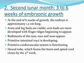 2. Second lunar month: 3 to 6
weeks of embryonic growth
 At the end of 6 weeks of growth, the embryo is
approximatey 1.2 cm long.
 Arms and leg buds are visible; arm buds are more
developed with finger ridges beginning to appear.
 Rudiments of the eyes, ears and nose appear.
 Primitive intestinal tract is developing.
 Primitive cardiovascular system is functioning.
 Neural tube, which forms the brain and spinal cord
closes by the 4th week.
 