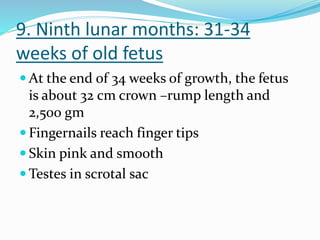 9. Ninth lunar months: 31-34
weeks of old fetus
 At the end of 34 weeks of growth, the fetus
is about 32 cm crown –rump length and
2,500 gm
 Fingernails reach finger tips
 Skin pink and smooth
 Testes in scrotal sac
 