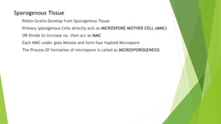 Sporogenous Tissue
Pollen Grains Develop from Sporogeneus Tissue
Primary sporogenous Cells directly acts as MICROSPORE MOTHER CELL (MMC)
OR Divide to increase no. then act as MMC
Each MMC under goes Meiosis and form four haploid Microspore
The Process Of formation of microspore is called as MICROSPOROGENESIS
 