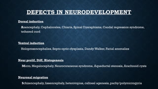 Embryology of Brain. and radiological correlationspptx | PPTX