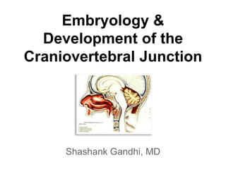 Embryology &
Development of the
Craniovertebral Junction
Shashank Gandhi, MD
 