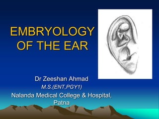 EMBRYOLOGY
 OF THE EAR

        Dr Zeeshan Ahmad
          M.S.(ENT,PGY1)
Nalanda Medical College & Hospital,
             Patna
 
