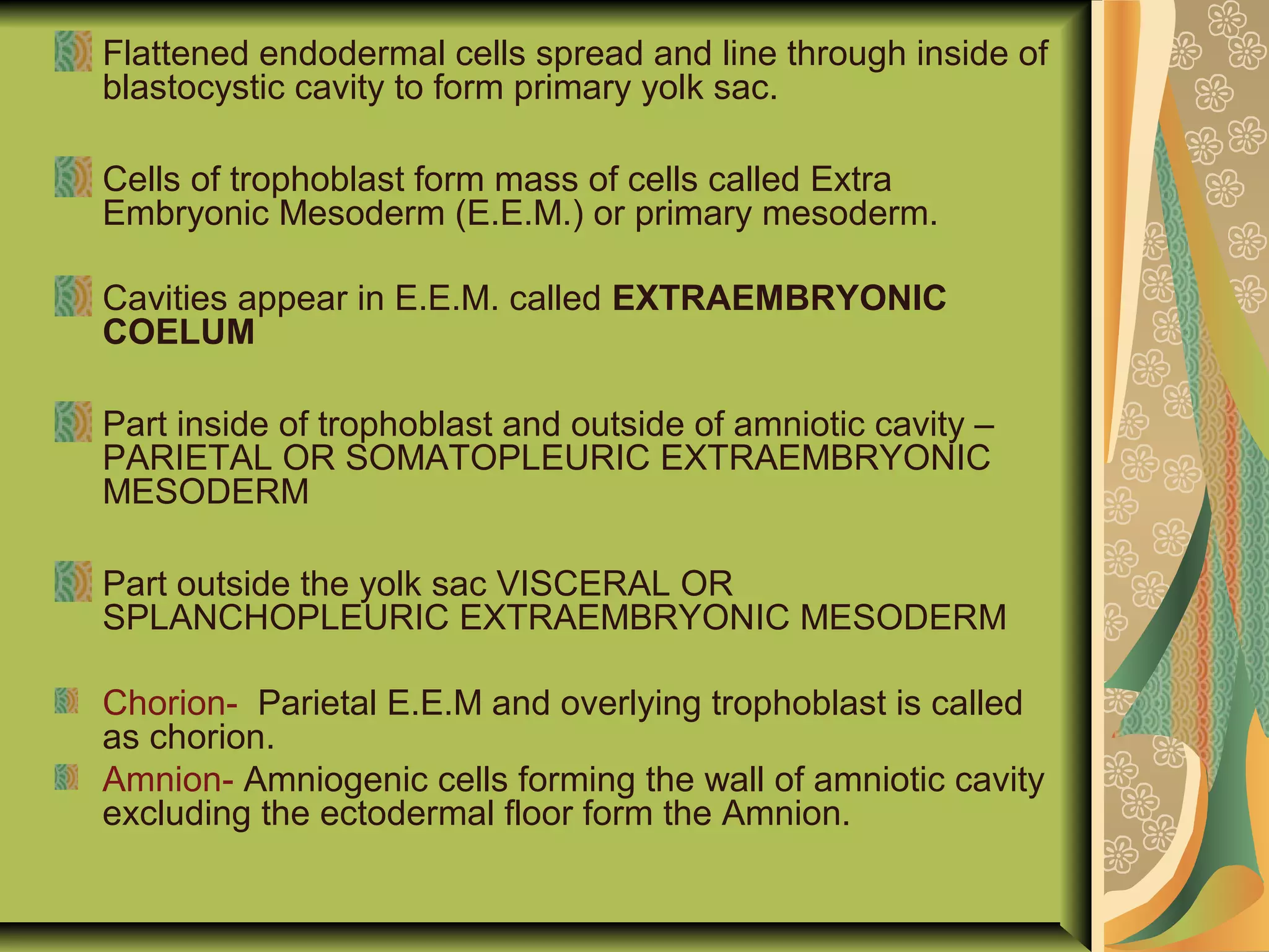 Flattened endodermal cells spread and line through inside of
blastocystic cavity to form primary yolk sac.
Cells of trophoblast form mass of cells called Extra
Embryonic Mesoderm (E.E.M.) or primary mesoderm.
Cavities appear in E.E.M. called EXTRAEMBRYONIC
COELUM
Part inside of trophoblast and outside of amniotic cavity –
PARIETAL OR SOMATOPLEURIC EXTRAEMBRYONIC
MESODERM
Part outside the yolk sac VISCERAL OR
SPLANCHOPLEURIC EXTRAEMBRYONIC MESODERM
Chorion- Parietal E.E.M and overlying trophoblast is called
as chorion.
Amnion- Amniogenic cells forming the wall of amniotic cavity
excluding the ectodermal floor form the Amnion.
 
