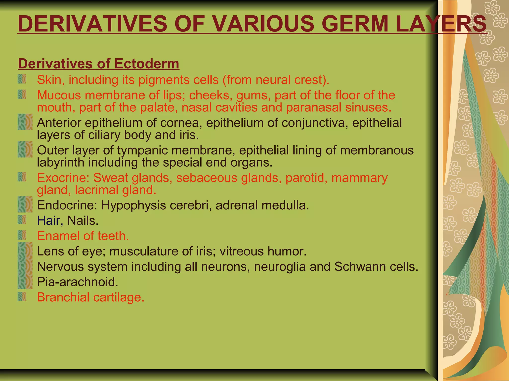 DERIVATIVES OF VARIOUS GERM LAYERS
Derivatives of Ectoderm
Skin, including its pigments cells (from neural crest).
Mucous membrane of lips; cheeks, gums, part of the floor of the
mouth, part of the palate, nasal cavities and paranasal sinuses.
Anterior epithelium of cornea, epithelium of conjunctiva, epithelial
layers of ciliary body and iris.
Outer layer of tympanic membrane, epithelial lining of membranous
labyrinth including the special end organs.
Exocrine: Sweat glands, sebaceous glands, parotid, mammary
gland, lacrimal gland.
Endocrine: Hypophysis cerebri, adrenal medulla.
Hair, Nails.
Enamel of teeth.
Lens of eye; musculature of iris; vitreous humor.
Nervous system including all neurons, neuroglia and Schwann cells.
Pia-arachnoid.
Branchial cartilage.
 