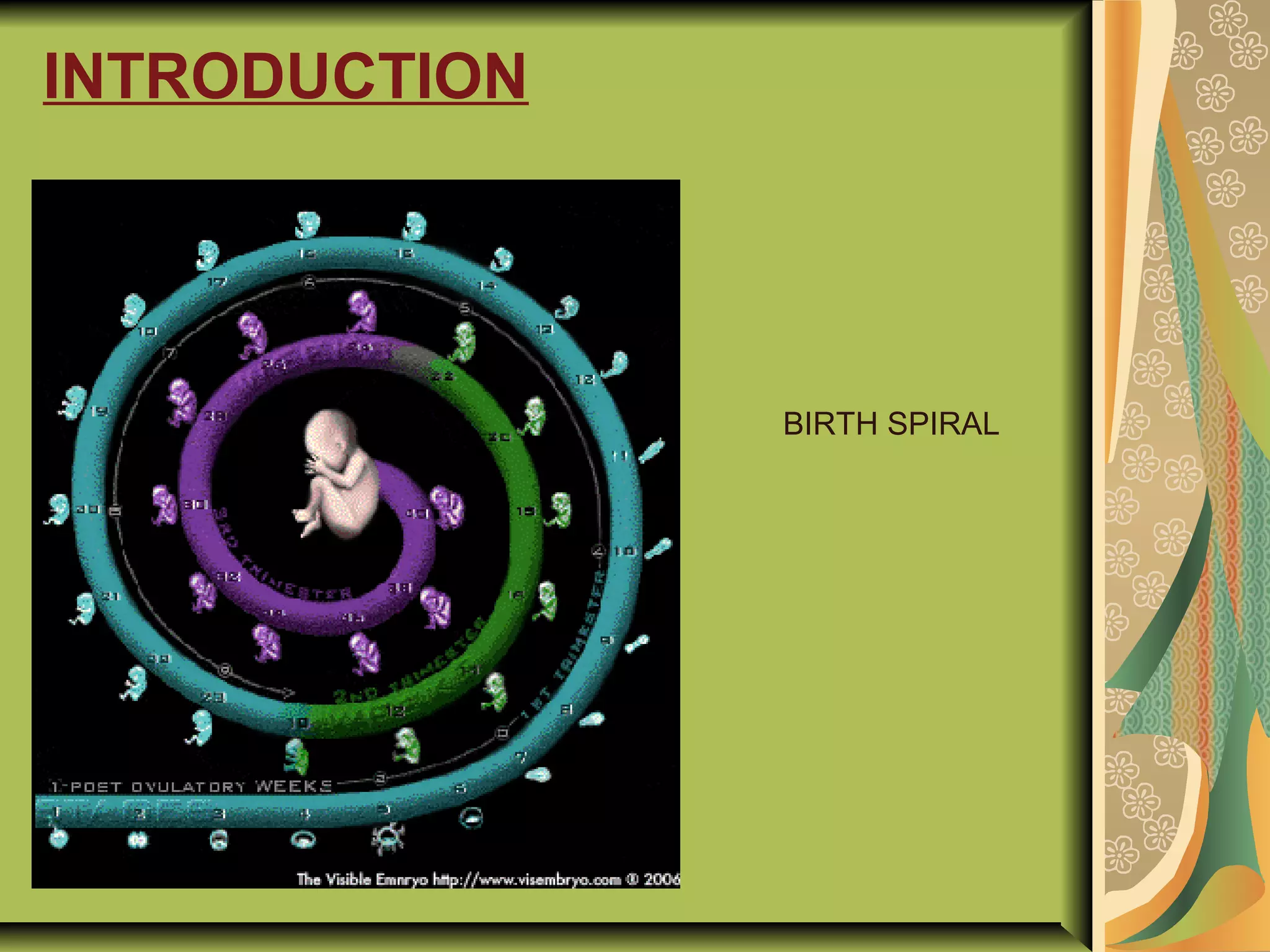 INTRODUCTION
BIRTH SPIRAL
 