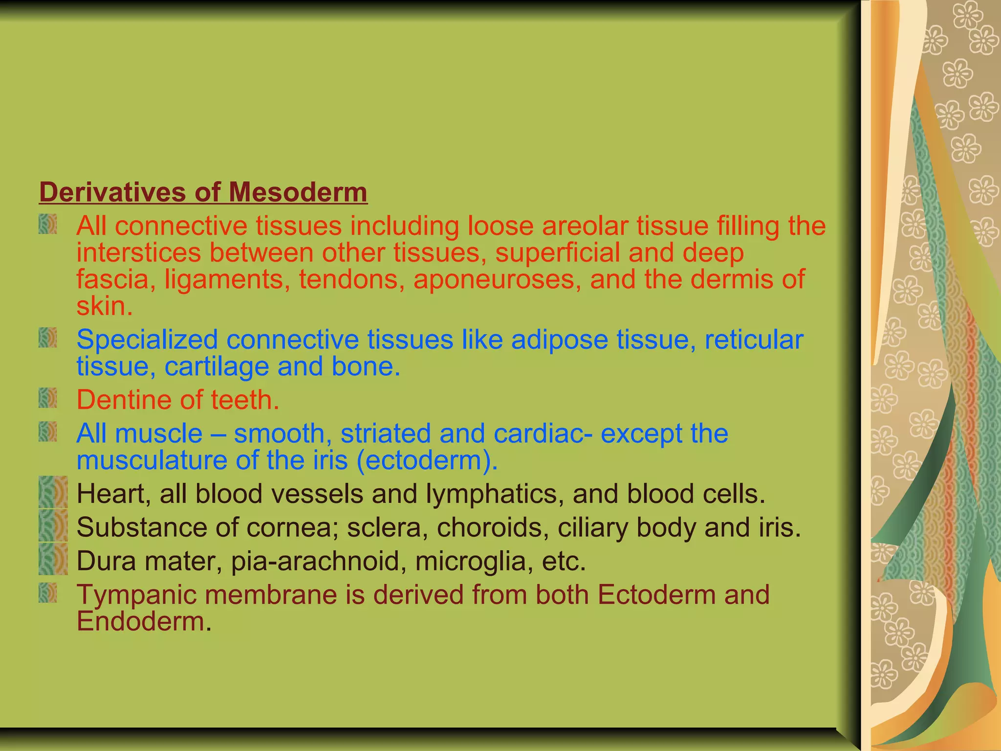 Derivatives of Mesoderm
All connective tissues including loose areolar tissue filling the
interstices between other tissues, superficial and deep
fascia, ligaments, tendons, aponeuroses, and the dermis of
skin.
Specialized connective tissues like adipose tissue, reticular
tissue, cartilage and bone.
Dentine of teeth.
All muscle – smooth, striated and cardiac- except the
musculature of the iris (ectoderm).
Heart, all blood vessels and lymphatics, and blood cells.
Substance of cornea; sclera, choroids, ciliary body and iris.
Dura mater, pia-arachnoid, microglia, etc.
Tympanic membrane is derived from both Ectoderm and
Endoderm.
 
