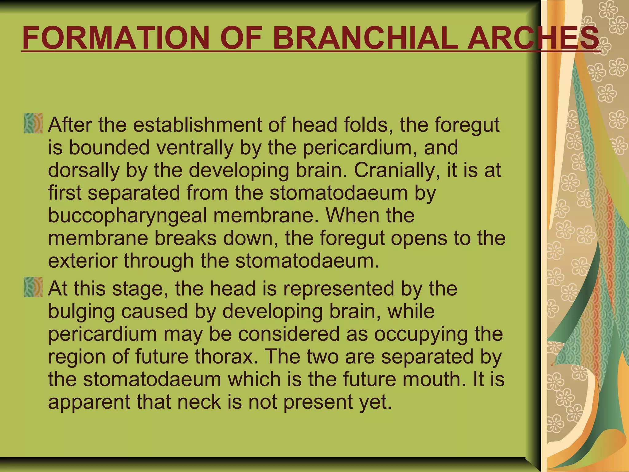 FORMATION OF BRANCHIAL ARCHES
After the establishment of head folds, the foregut
is bounded ventrally by the pericardium, and
dorsally by the developing brain. Cranially, it is at
first separated from the stomatodaeum by
buccopharyngeal membrane. When the
membrane breaks down, the foregut opens to the
exterior through the stomatodaeum.
At this stage, the head is represented by the
bulging caused by developing brain, while
pericardium may be considered as occupying the
region of future thorax. The two are separated by
the stomatodaeum which is the future mouth. It is
apparent that neck is not present yet.
 