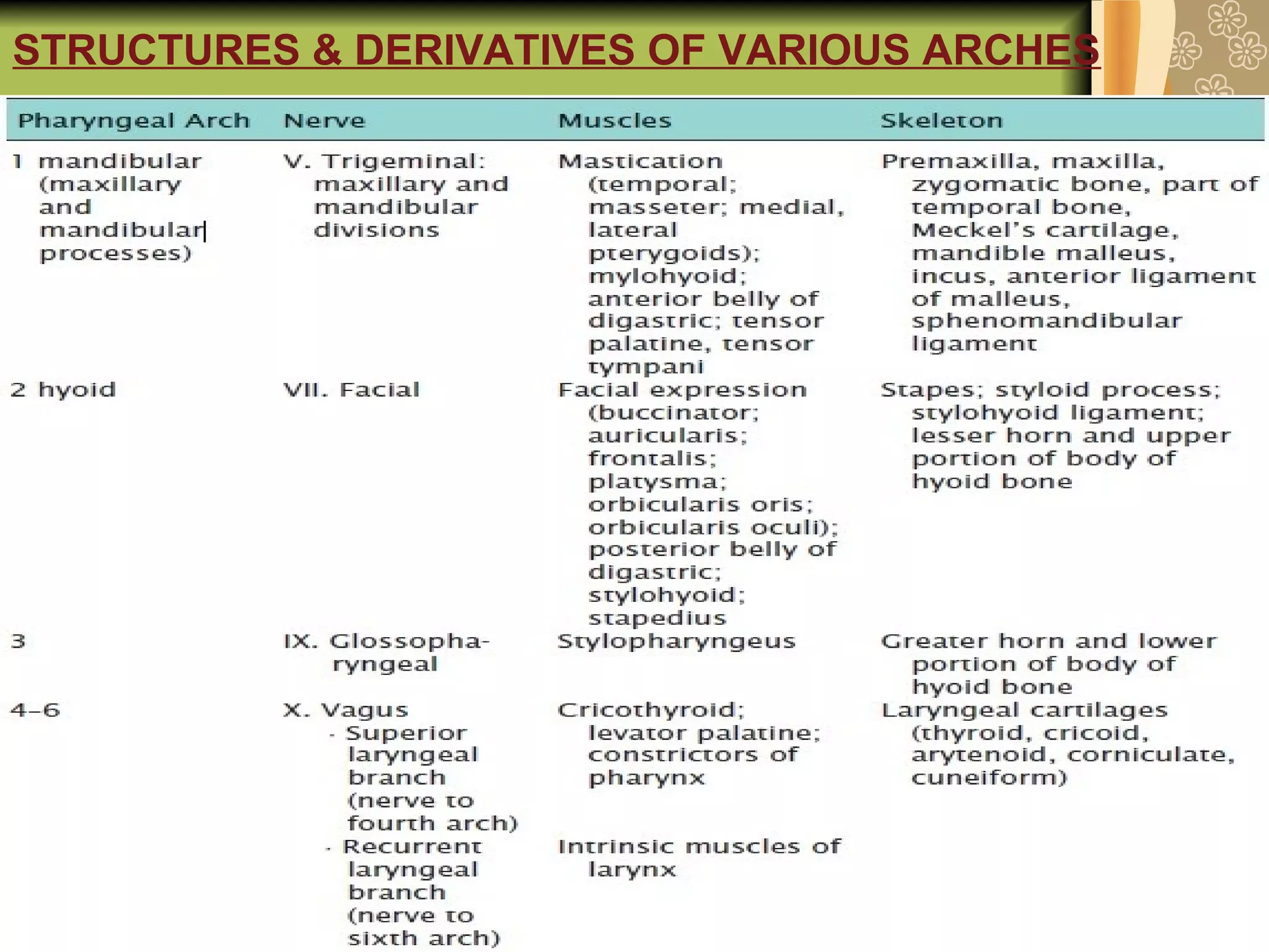 STRUCTURES & DERIVATIVES OF VARIOUS ARCHES
 
