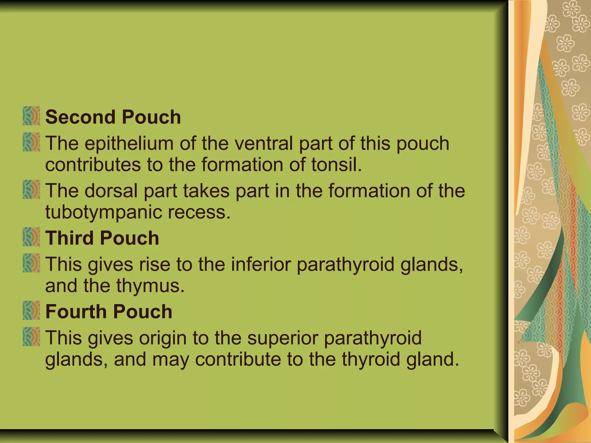 Second Pouch
The epithelium of the ventral part of this pouch
contributes to the formation of tonsil.
The dorsal part takes part in the formation of the
tubotympanic recess.
Third Pouch
This gives rise to the inferior parathyroid glands,
and the thymus.
Fourth Pouch
This gives origin to the superior parathyroid
glands, and may contribute to the thyroid gland.
 