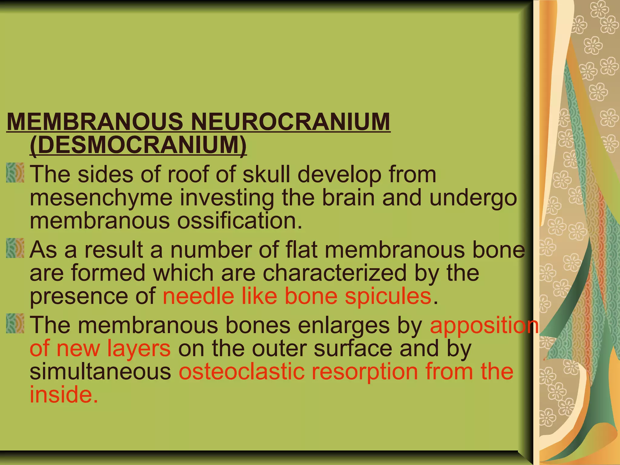 MEMBRANOUS NEUROCRANIUM
(DESMOCRANIUM)
The sides of roof of skull develop from
mesenchyme investing the brain and undergo
membranous ossification.
As a result a number of flat membranous bone
are formed which are characterized by the
presence of needle like bone spicules.
The membranous bones enlarges by apposition
of new layers on the outer surface and by
simultaneous osteoclastic resorption from the
inside.
 