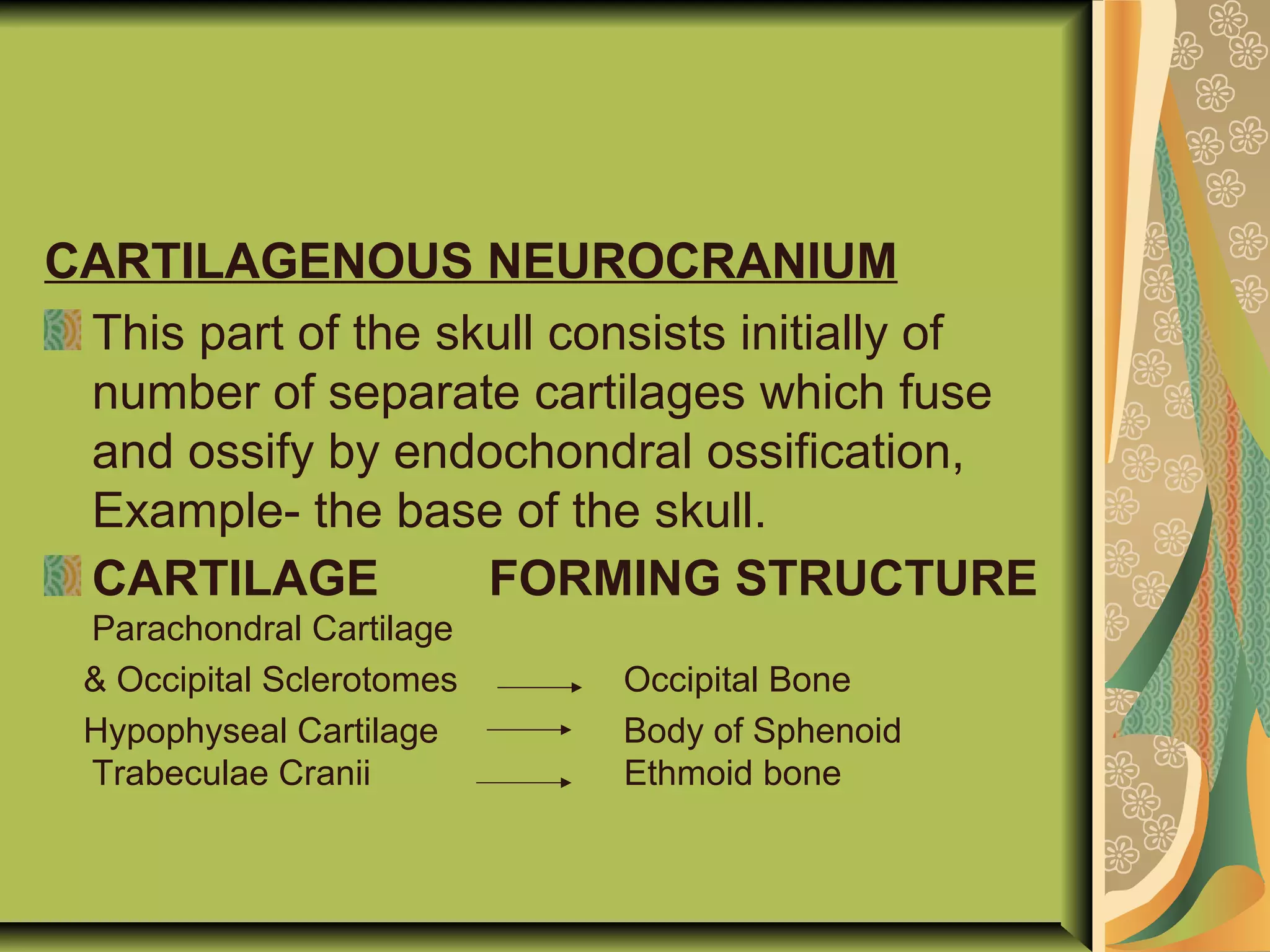 CARTILAGENOUS NEUROCRANIUM
This part of the skull consists initially of
number of separate cartilages which fuse
and ossify by endochondral ossification,
Example- the base of the skull.
CARTILAGE FORMING STRUCTURE
Parachondral Cartilage
& Occipital Sclerotomes Occipital Bone
Hypophyseal Cartilage Body of Sphenoid
Trabeculae Cranii Ethmoid bone
 