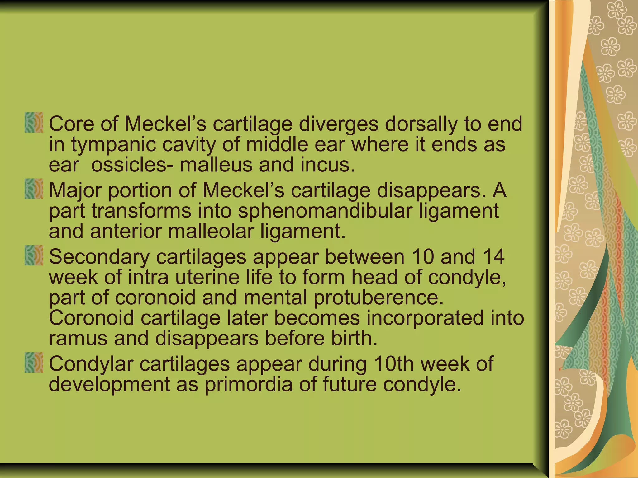 Core of Meckel’s cartilage diverges dorsally to end
in tympanic cavity of middle ear where it ends as
ear ossicles- malleus and incus.
Major portion of Meckel’s cartilage disappears. A
part transforms into sphenomandibular ligament
and anterior malleolar ligament.
Secondary cartilages appear between 10 and 14
week of intra uterine life to form head of condyle,
part of coronoid and mental protuberence.
Coronoid cartilage later becomes incorporated into
ramus and disappears before birth.
Condylar cartilages appear during 10th week of
development as primordia of future condyle.
 