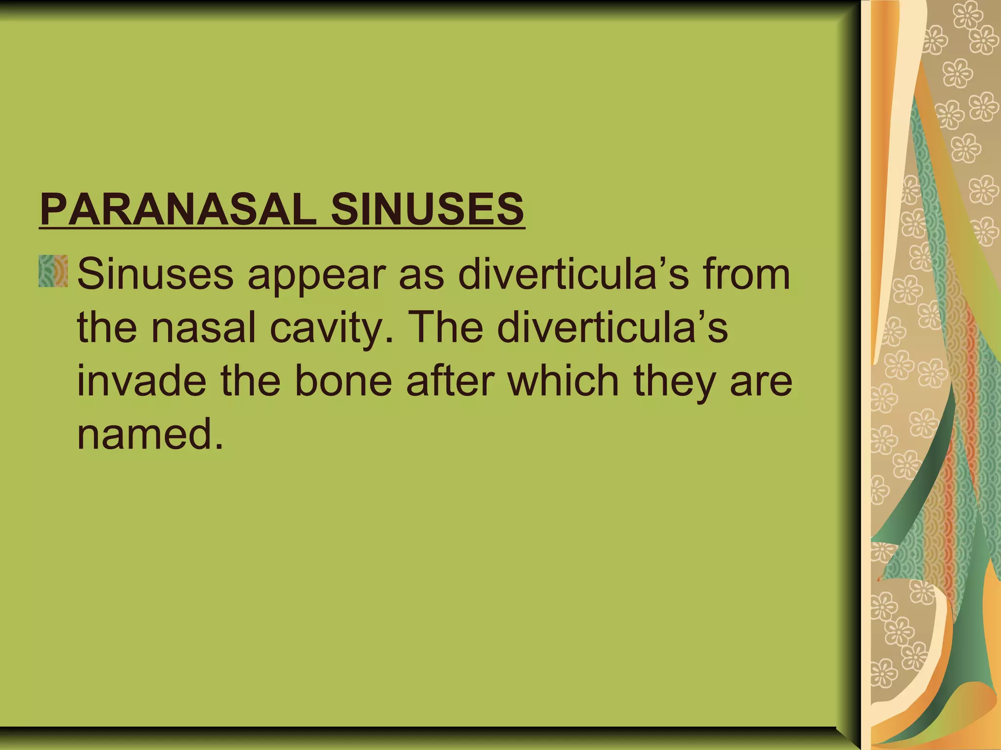 PARANASAL SINUSES
Sinuses appear as diverticula’s from
the nasal cavity. The diverticula’s
invade the bone after which they are
named.
 