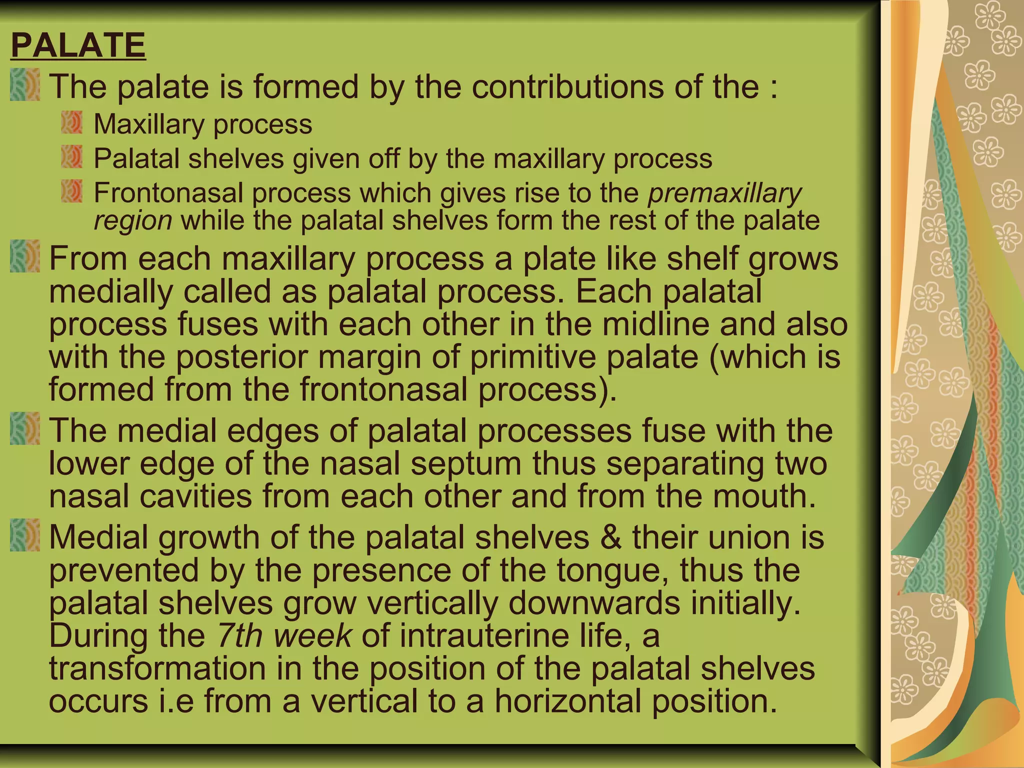PALATE
The palate is formed by the contributions of the :
Maxillary process
Palatal shelves given off by the maxillary process
Frontonasal process which gives rise to the premaxillary
region while the palatal shelves form the rest of the palate
From each maxillary process a plate like shelf grows
medially called as palatal process. Each palatal
process fuses with each other in the midline and also
with the posterior margin of primitive palate (which is
formed from the frontonasal process).
The medial edges of palatal processes fuse with the
lower edge of the nasal septum thus separating two
nasal cavities from each other and from the mouth.
Medial growth of the palatal shelves & their union is
prevented by the presence of the tongue, thus the
palatal shelves grow vertically downwards initially.
During the 7th week of intrauterine life, a
transformation in the position of the palatal shelves
occurs i.e from a vertical to a horizontal position.
 