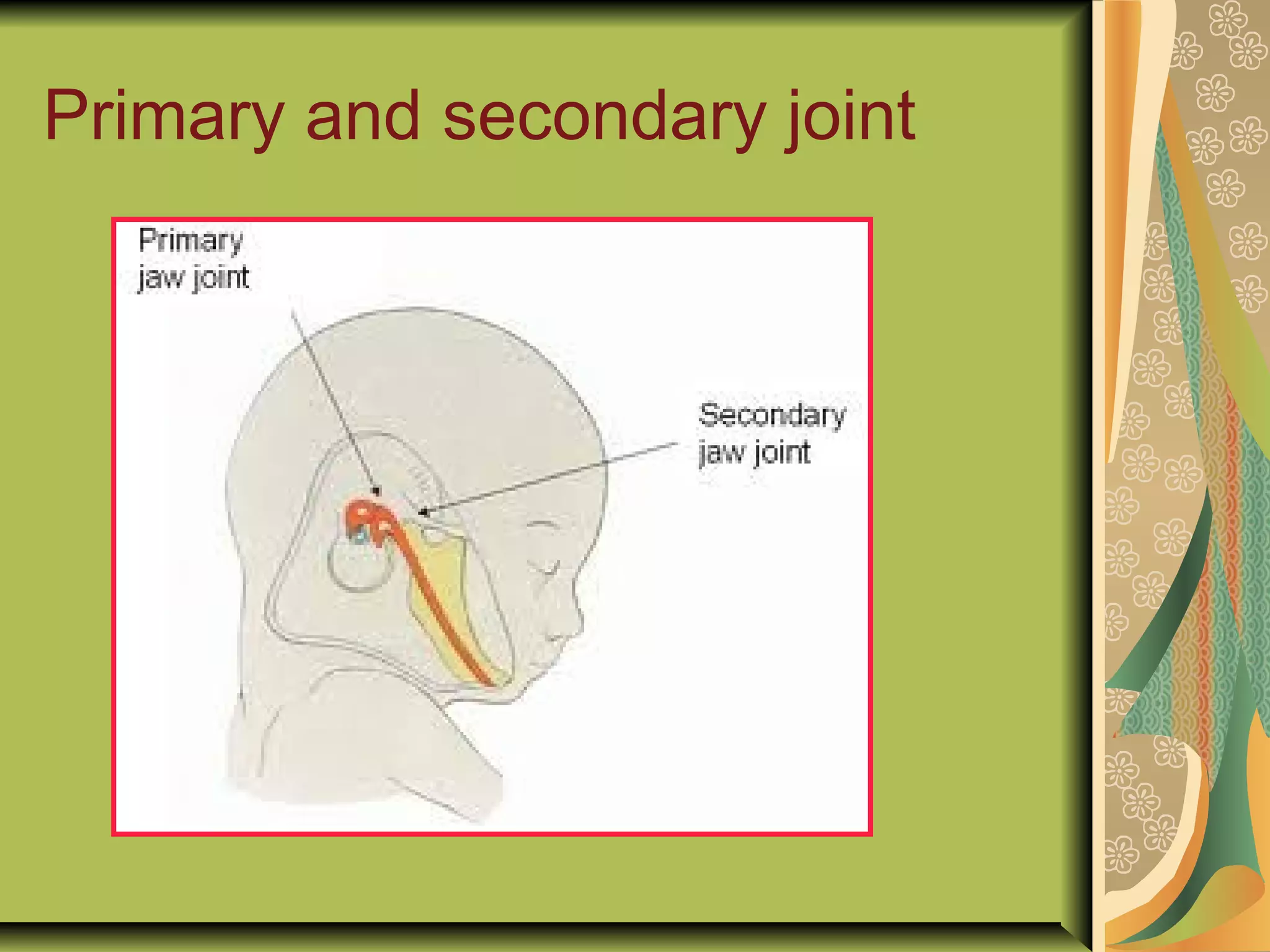 Primary and secondary joint
 