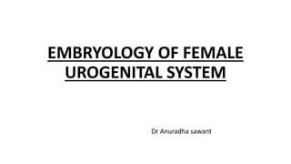 EMBRYOLOGY OF FEMALE
UROGENITAL SYSTEM
Dr Anuradha sawant
 